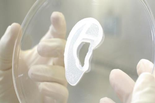 اولین پیوند یک گوش چاپ 3 بعدی شده