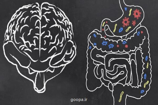 وجود ژن مشترک بین مبتلایان به اختلالات روده و آلزایمر