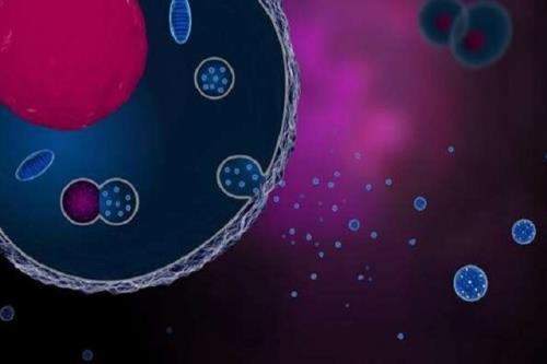 وزیکول های خارج سلولی منبعی نامرئی از ظرفیت های درمانی