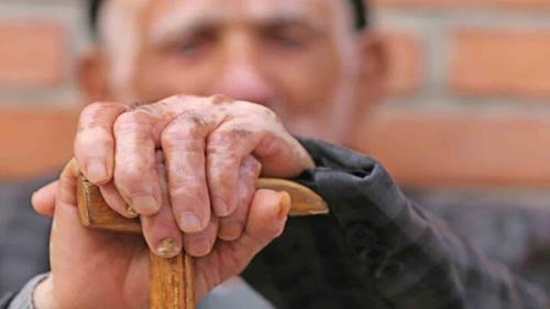 کسب وکار در عرصه سالمندی از مشاغل آینده خواهد بود