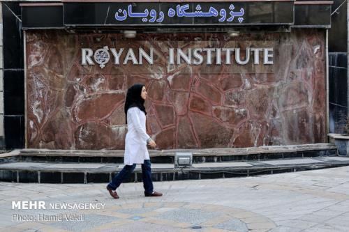 رویان ۲ ماه بعد از آتشسوزی چرا کسی سلول به سلول پژوهشگاه را نساخت؟