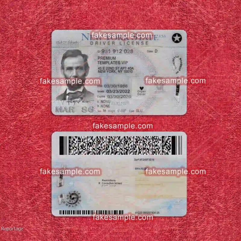 New York Driver Licence Fake Template