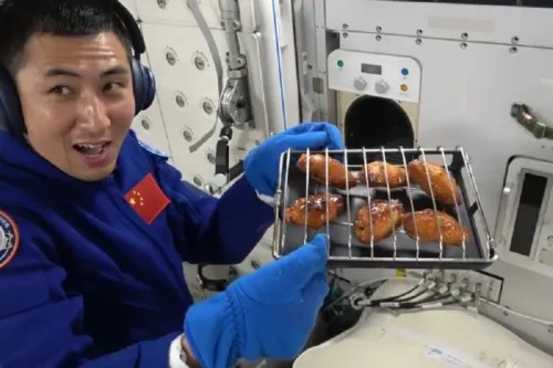 چینی ها در فضا بال مرغ سوخاری پختند!