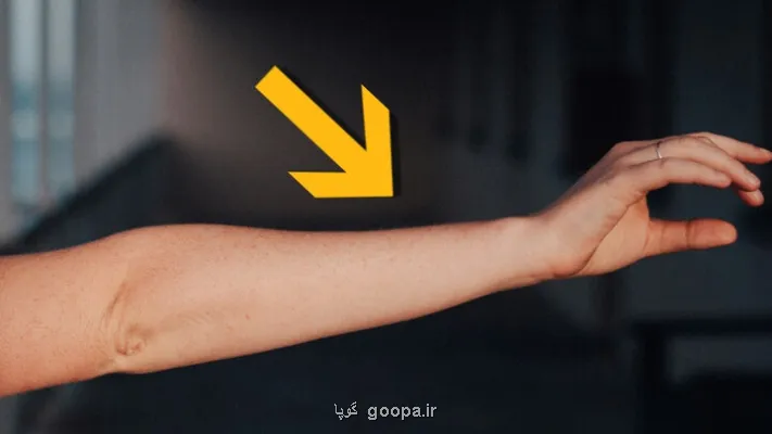 ردپای تکامل انسان ها در یک رگ اضافه دست