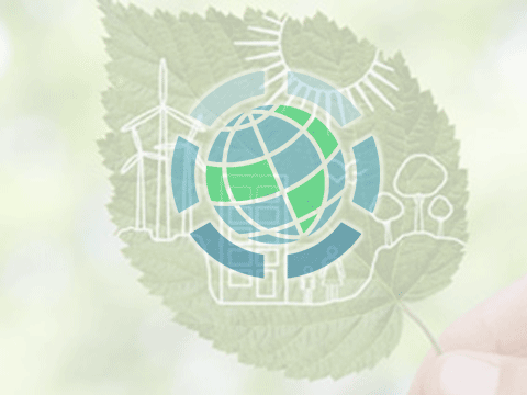 ضرورت تقویت حمایت های دولتی از تولیدکنندگان و توسعه کشت کلزا در استان تهران