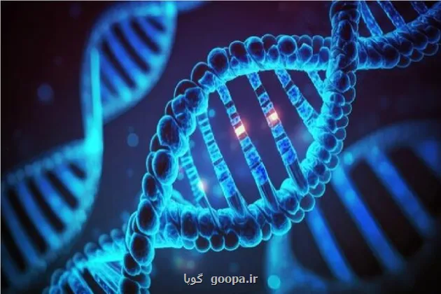 اوریگامی DNA، کلید نظم بخشی مولکولی در نیمه رساناهای دوبعدی